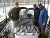 (04/21/2018) - Nice Striped Bass